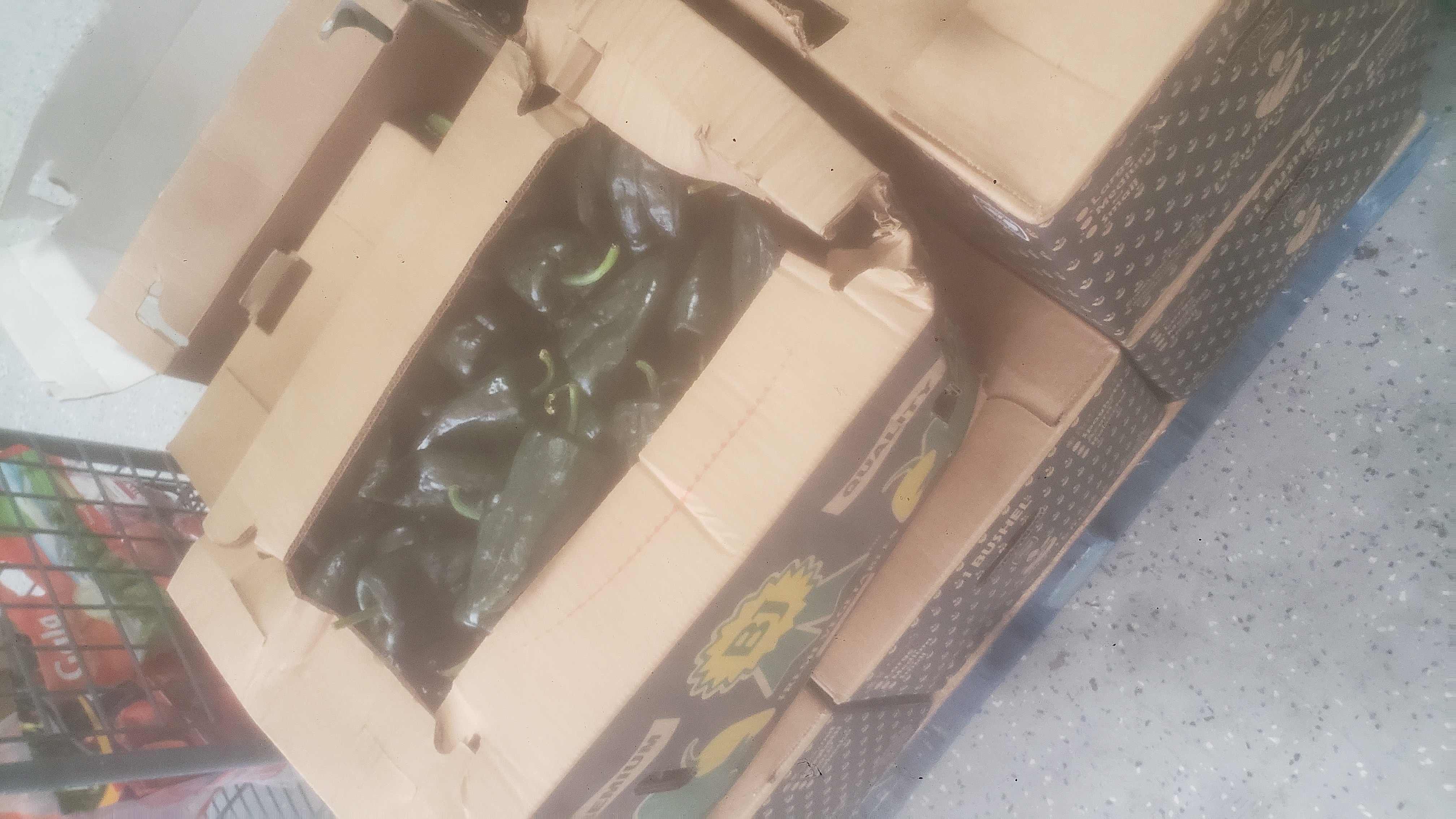 Cardboard box full of peppers.